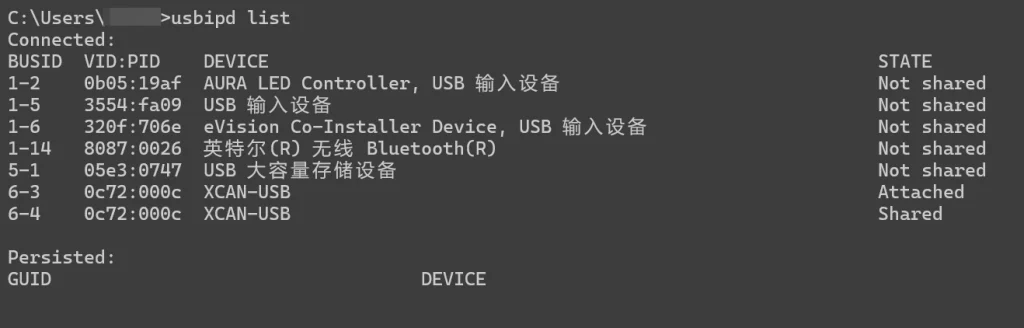 此图片的 alt 属性为空;文件名为 usbipd.webp